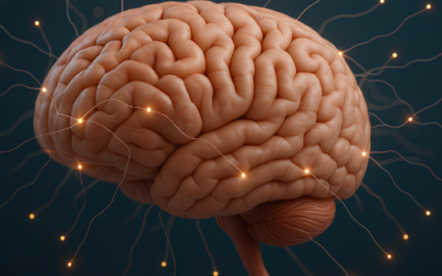 Bienfaits du yoga sur le cerveau : mémoire, émotions et cognition